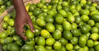 রমজানে কাঁচাবাজার নিয়ে অসন্তোষ ক্রেতাদের!