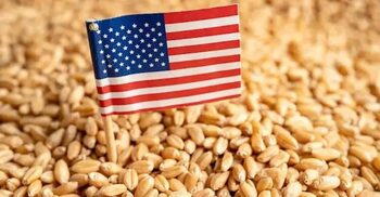 যুক্তরাষ্ট্র থেকে আসছে ২ লাখ ২০ হাজার টন গম, ব্যয় ৮৪২ কোটি টাকা