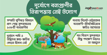 দুর্যোগে বন্যপ্রাণীর নিরাপত্তা দেবে কে?