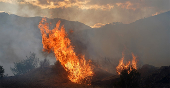 পর্তুগাল-স্পেনে ছড়িয়ে পড়েছে ভয়াবহ দাবানল