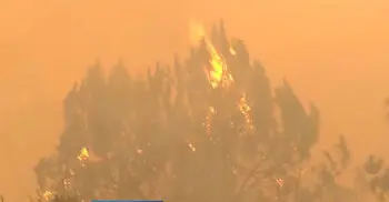 Wildfires force over 300,000 to flee in France and Spain