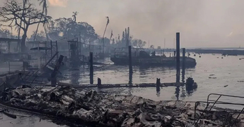 Hawaii wildfire death toll hits 67