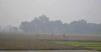 দেশের সর্বনিম্ন তাপমাত্রা যশোরে, হাড়কাঁপানো শীতে স্থবির জনজীবন