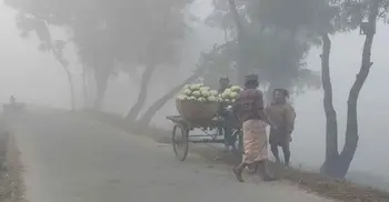 Mild cold wave in 4 dists, may persist for few days