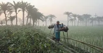 জানুয়ারিতে একাধিক তীব্র শৈত্যপ্রবাহের আভাস