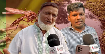 ঢাকায় মশার বিপৎসংকেত, মার্চে আরও বাড়বে উপদ্রব