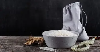 রমজানের দ্বিতীয় দশকে ফিতরা দেওয়া যায়?