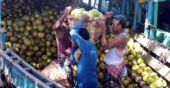 পাহাড়ের জাম্বুরার কদর বাড়ছে সারাদেশে