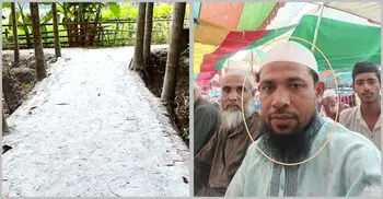 সরকারি রাস্তার বরাদ্দের ইট দিয়ে নিজ বাড়ির রাস্তা করলেন ইউপি সদস্য