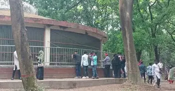ঈদের দিনই চিড়িয়াখানায় ভিড়, বাঘ-ভালুক-বানরে মুগ্ধ দর্শনার্থীরা