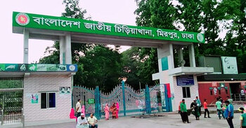 জাতীয় চিড়িয়াখানার পূর্ণাঙ্গ সংস্কার দরকার: প্রধান উপদেষ্টা