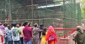 গুঁড়ি গুঁড়ি বৃষ্টিতেও বিনোদন কেন্দ্রগুলোতে মানুষের ঢল