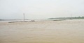 বিপদসীমার ওপরে যমুনার পানি