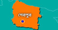 ফের স্থগিত শেরপুর সদর উপজেলা নির্বাচন