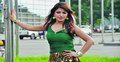 মিডিয়ায় ফিরতে চান তিন্নি