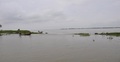 পানির নিচে পটুয়াখালীর ৮ গ্রাম
