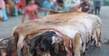 বিপাকে চামড়া ব্যবসায়ীরা
