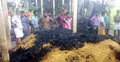 বীরগঞ্জে অগ্নিকাণ্ডে ২৫টি বাড়ি পুড়ে ছাই