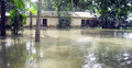 নানা সঙ্কটে গাইবান্ধার বন্যার্ত মানুষ 