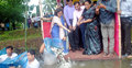 জাবিতে মাছের পোনা অবমুক্ত