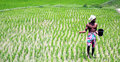 উত্তরাঞ্চলজুড়ে পানির জন্য হাহাকার