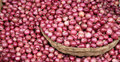 এখনো বাড়তি পেয়াজের দাম