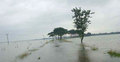 গোায়াইনঘাটে ফের বন্যা