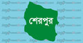 সড়কে প্রাণ গেল দম্পতির
