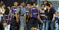 আর নিষিদ্ধ নন শাহরুখ