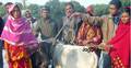 ৯ নারীকে গরু দিল রুপান্তর