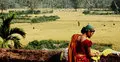 মুক্তির প্রস্তুতি নিচ্ছে ‘নৃ’