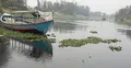 দূষিত বর্জ্যে হুমকির সম্মুখীন তুরাগ তীরের জীব-বৈচিত্র্য