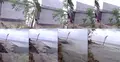 দুই মিনিটেই সব শেষ (ভিডিও)