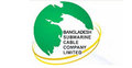 সাবমেরিন ক্যাবলের মুনাফা কমেছে ৭৬ শতাংশ