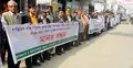 সহিংসতার বিরুদ্ধে জামালপুরে পেশাজীবীদের মানববন্ধন