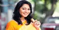 ব্যস্ত মৌটুসী