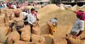 উত্তরে কমেছে ধানের দাম 