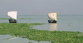 ব্রহ্মপুত্রে এখনো ছাত্রীসহ গৃহবধূ নিখোঁজ
