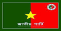 জাতীয় পার্টির আয় কম ব্যয় বেশি