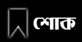 মুক্তিযোদ্ধা ড. তাইবুন নাহার আর নেই