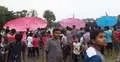 গ্রামীণ ঐতিহ্যর ঘুড়ি উৎসব মেলা