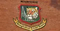 টিকিট বিক্রিতে নতুন নিয়মে বিসিবি