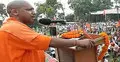 গরুকে ‘রাষ্ট্রমাতা’ স্বীকৃতির দাবি বিজেপি এমপির