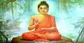 বৌদ্ধ পূর্ণিমা রোববার