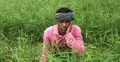 ঝড়-বৃষ্টিতে ক্ষতিগ্রস্থ কৃষকদের ক্ষতিপূরণ দেয়ার সুপারিশ