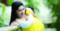 নতুন সিনেমা নিয়ে আসছেন জানভী (ছবি ও ভিডিও)