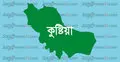 কুষ্টিয়ায় ২৬ লাখ টাকা মূল্যের কীটনাশক উদ্ধার 