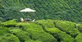প্রাকৃতিক সৌন্দর্যের দেশ মালয়েশিয়া ভ্রমণ 