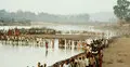 নর্মদায় কৃষকদের পানি-বিদ্রোহ