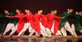 সন্ত্রাস রুখে দাও নৃত্যের ছন্দে